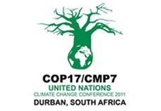 《联合国气候变化框架公约》缔约方第17次会议